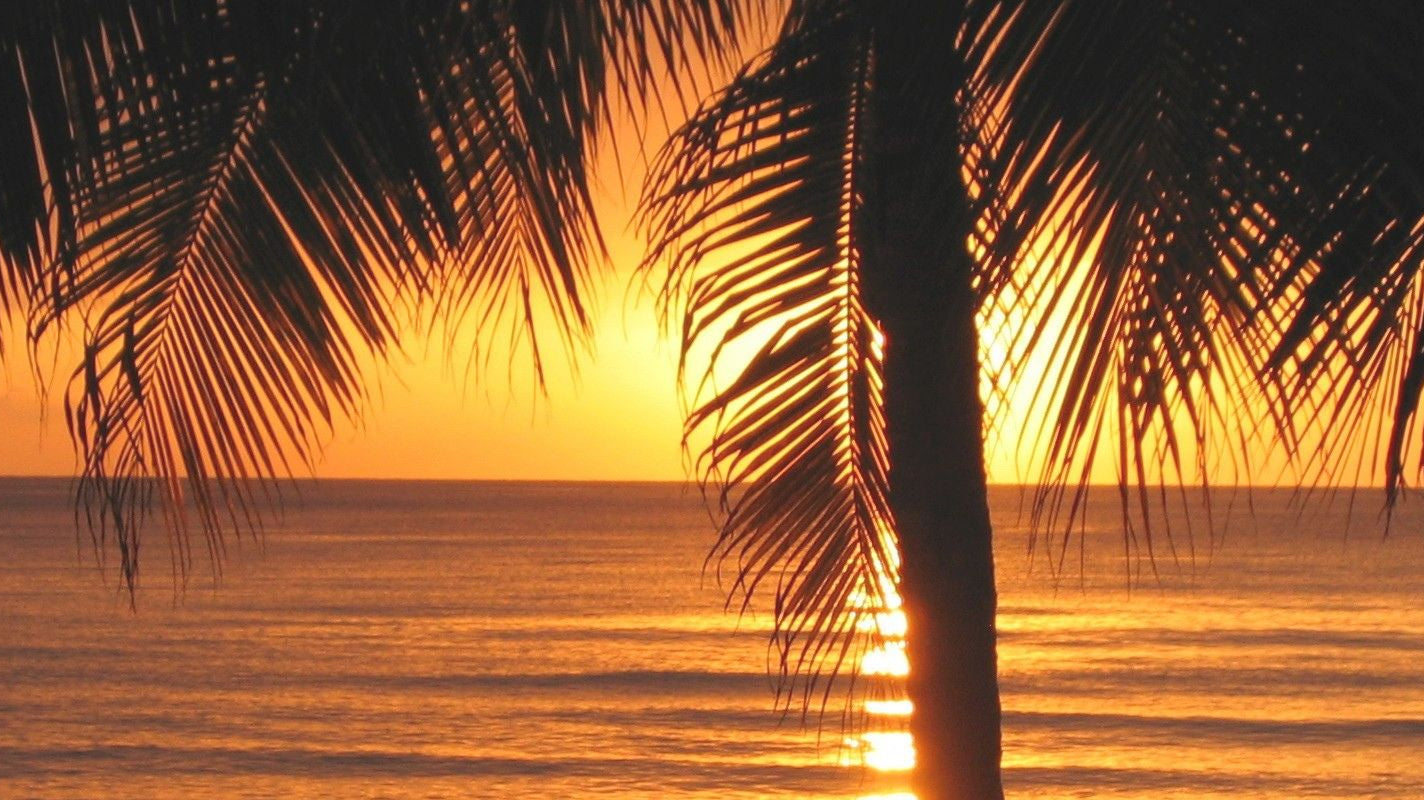 Island Sunset