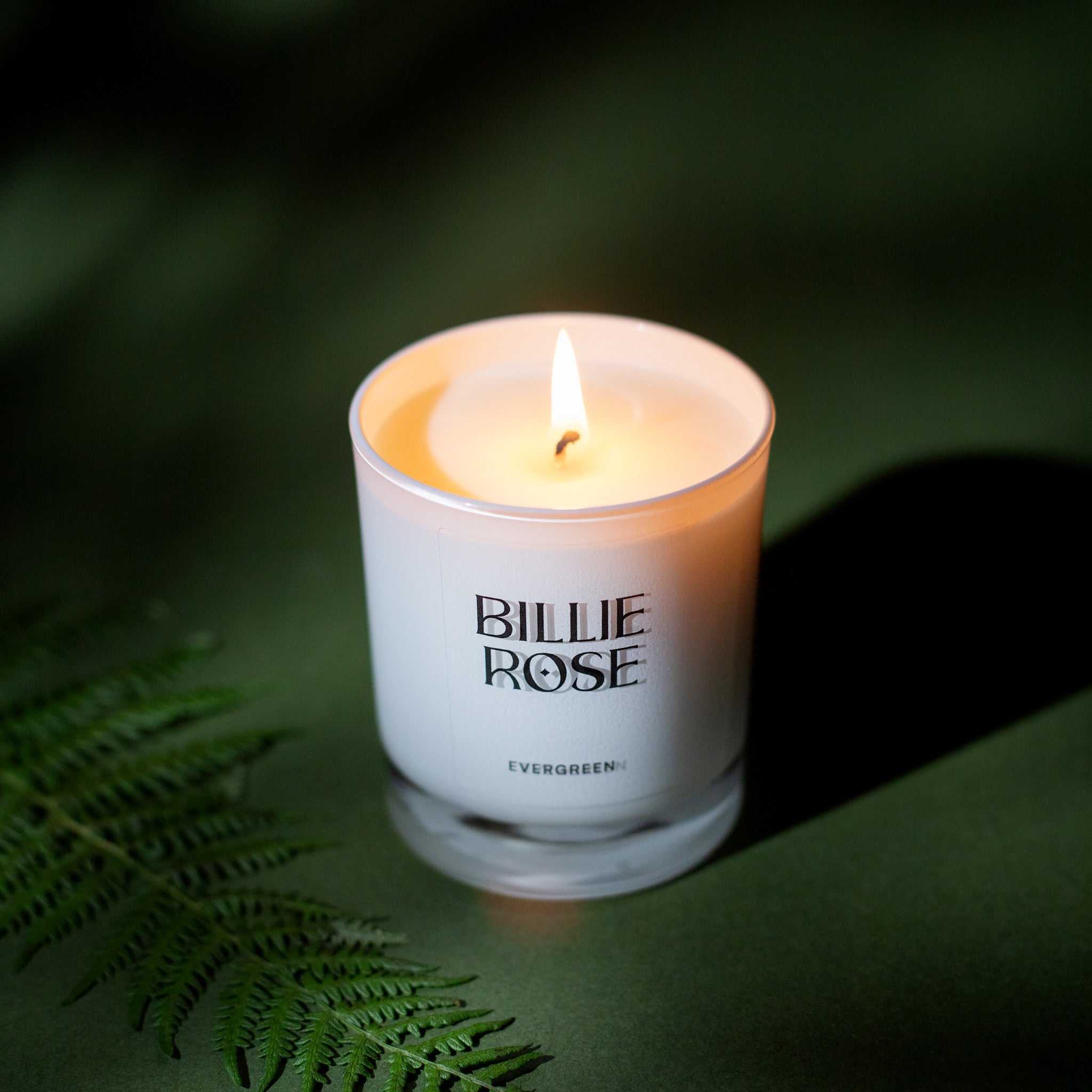 Billie Rose Evergreen candle with a green leafy background