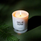Billie Rose Evergreen candle with a green leafy background