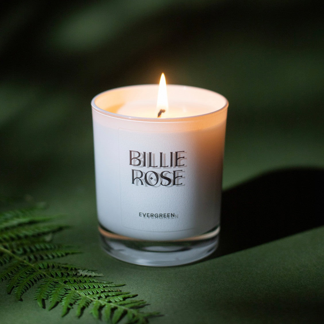 lit Evergreen candle in white jar on green background with leaf and shadows