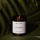 lit scented candle on green background with tree shadows