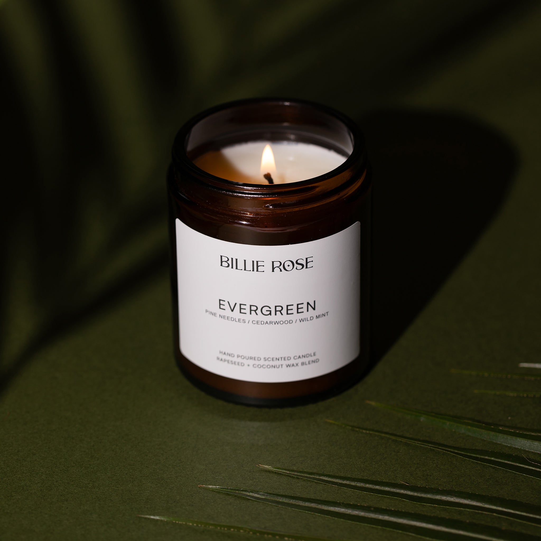 lit evergreen candle in amber glass jar with green background and tree shadows